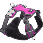 Harnais pour chien - RED DINGO - Rose - Rembourr&eacute; - Taille T1 - S&eacute;curis&eacute; avec bandes r&eacute;fl&eacute;chissantes rožinė
