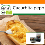 SAFLAX Sodas mai&scaron;e &ndash; Ekologi&scaron;ki &ndash; Skvo&scaron;as &ndash; Spagečiai &ndash; 5 sėklos &ndash; Su substratu tinkamame stovimame mai&scaron;elyje &ndash; Cucurbita pepo