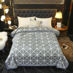 Žieminės antklodės Pastorintos dvigubos Raschel antklodės Vienvietės dvivietės antklodės &scaron;ilumai palaikyti studentų bendrabutyje Vienvietės dvivietės antklodės 200 cm*230 cm