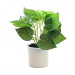 Dirbtinis augalas Bonsai Nenusidėvintis Dekoravimas I&scaron;skirtinės Detalės I&scaron;skirtinis Mažas Medelis Simuliacija Vazoninis Augalas Namams P