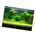3D akvariumo universalus kra&scaron;tovaizdžio plakatas, vienpusis žuvies fonas, 61x30 cm