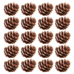 20 vnt. dirbtinis pu&scaron;ies kūgis, patrauklus sodui Patogus dekoratyvinis &bdquo;pasidaryk pats&ldquo; imitacinis kankorėžių romanas &bdquo;Vivid Natural&ldquo; 20Pcs