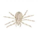 Helovino siaubo papuo&scaron;imas pelės &scaron;ik&scaron;nosparnio voro skeleto ornamentas plastikinis gyvūno skeletas siaubo renginio vietos dekoravimo skeleto ornamentas