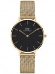 MOTERI&Scaron;KAS LAIKRODIS DANIEL WELLINGTON DW00100347 - PETITE EVERGOLD 32mm (zw500e)
