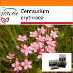 SAFLAX - Sodas mai&scaron;e - Common Centaury - 250 sėklų - Su substratu tinkamame stovimame mai&scaron;elyje - Centaurium erythraea