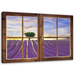 Feeby Canvas print, Langas - levandų laukas