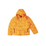 THE NORTH FACE Sierra Rmst Parka su gobtuvu Vyri&scaron;ka NF0A832R-56P XL orange