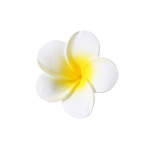 Plumeria gėlių plaukų segtukai moterims merginoms plaukų segtukai kiau&scaron;inių gėlė saldūs &scaron;oniniai plaukų segtukai Barrettes Havajų vakarėlio plaukų aksesuarai S-5.5cm