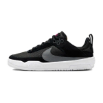 Nike Day One SB GS Juodi Balti Vaikų Kedai Cool-Grey Anthracite FN4210-002 33.5 black