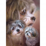 Pilnas grąžtas 5D &bdquo;pasidaryk pats&ldquo; deimantinio dažymo rinkinys namuose Dekoratyvinis grąžtas 20x25CM