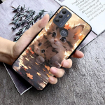 Mielas Cat telefono dėklas, skirtas Moto G84 G22 G32 G42 G52 G62 G53 G72 G60 G60S G100 G10 G20 G30 G13 G50 G 5G G Pure Moto G 5G