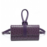 Stručio ra&scaron;to delninė peties pa&scaron;tininko krep&scaron;ys rankinė 21*12*4CM violetinė