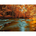 Visas apvalus grąžtas deimantinis siuvinėjimas &bdquo;pasidaryk pats&ldquo; deimantinis dažymas kryželiu kri&scaron;tolinio akmens mozaikos dekoras 20X30CM