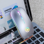 VAORLO 2.4G RGB belaidė pelė Kompiuterio pelė Tylios Ergonomi&scaron;kos įkraunamos pelės su LED optiniu foniniu ap&scaron;vietimu USB pelės, skirtos ne&scaron;iojamam kompiuteriui sidabras