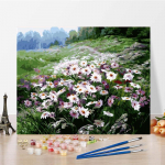 Skaičiai Aliejinė tapyba Drobė Menas Skaitmeninis aliejinis paveikslas &bdquo;Pasidaryk pats&ldquo; Tapyba pagal skaičius Namų dekoravimas 40x50cm no frame