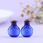 2 vnt Mini stikliniai buteliai palinkėjimų butelis su kam&scaron;čiais mažyčiai stiklainiai buteliukai laikymo butelis skaidri