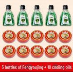 Vasaros vėsinantis vėjo aliejus: Uodus atbaidantis, nuo niežulio, apsauga nuo &scaron;ilumos smūgio, gaivinantis, nuo galvos svaigimo eterinis aliejus 5 Fengyoujing, 10 boxes of Qingliang Oil