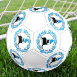 DSC Arminia Bielefeld 5 dydžio futbolo kamuolys, ma&scaron;ininio siuvimo PVC, patvarus ir auk&scaron;to at&scaron;okimo, tinka visoms amžiaus grupėms, gerbėjų atributika, rungtynėms ir naudojimui lauke.