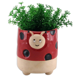 Les Tr&eacute;sors De Lily [A2496] - Cache pot c&eacute;ramique 'Coccinelle' orange - 12x11 cm