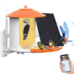 &bdquo;Smart Bird Feeder&ldquo; kamera 1080p HD fotoaparatas, spalvotas naktinis matymas &bdquo;Smart AI&ldquo; nustatyti pauk&scaron;čių rū&scaron;į PIR With TF Card žalia
