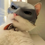 Bat- Cat - Maskbat Cat kaukė Cat S juoda