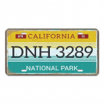 Senovinis plakatas Amerikos valstijų plaketo metalo skardos ženklai Florida Kalifornija Teksasas Havajai Klubo Baras Garažo sienų dekoras 30x15cm