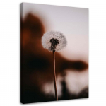Feeby Canvas print, Lone blowfly