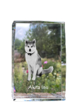 Akita, Akita Inu - crystal with a picture of a dog, photo in glass, modern exhibition of Art-Dog brand photo skaidri