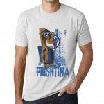 Vyri&scaron;ki vintažiniai mar&scaron;kinėliai su grafika PRISHTINA LIFESTYLE vintažinės baltos spalvos XL baltos spalvos nuo blyksnio