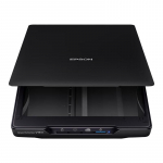 EPSON Perfection V19II A4 plok&scaron;čias nuotraukų ir dokumentų skaitytuvas CN ki&scaron;tukas (adapteris įtrauktas)