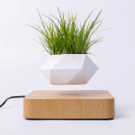 Magnetinis levitacijos gėlių vazonas namų dekoravimui - Kūrybi&scaron;kas plaukiojantis bonsai vazonas GW4 Light Wood Grain (No Plant) white