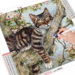 5D deimantų tapyba Mosaic Cat Full Square Drill Animal Deimantinis siuvinėjimas 30x30CM