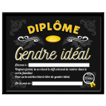 Les Tr&eacute;sors De Lily [A0385] - Cadre 'Dipl&ocirc;me du Gendre id&eacute;al' noir - 25x20x1. 5 cm juoda