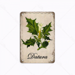 Gėlės Vintažiniai metaliniai skardos ženklai Retro Žali augalai Metaliniai plakatai Plok&scaron;tės Baras Baras Sodas Farm Namų Sienų Dekoras 20x30cm 20x30cm(7.8x11.8in)