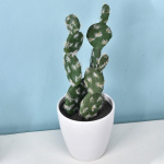 1 vnt Mini netikri augalai be vazoninių augalų namų dekoras Plastikinis kaktusas Dirbtinė gėlė Miela
