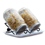 Augančios namų virtuvės plataus burnos germinatorius su ekrano dangteliais daiginimo stiklainiams 16/32 uncijų Mason Jar 2set 32oz with tray beige