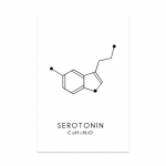 Molekulė Cheminė dopaminas Serotoninas Molekulinė formulė Chemija Mokslas Sienos Menas Drobė Tapyba Svetainės dekoratyvinis plakatas 70x120 No Frame