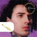 KODY PIERCING 18K paauksuotas krokodilo antakių auskaras su kamuoliuku &ndash; kokybi&scaron;kas auskarų vėrimas