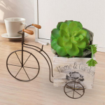 Gėlių vazonas sodintuvas kūrybingas ornamentas bonsai medinė dėžutė kiemui sodui vidaus White