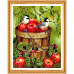 5D pilno deimantinio gyvūno / pauk&scaron;čio obuolio kri&scaron;tolo deimantų tapyba kryželiu Siuvinėjimo rinkiniai Siuvinėjimo ra&scaron;tai 20X30CM