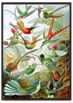 Plakat rajskie ptaki kompozycja w czarnej ramie 21x30 cm