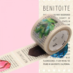 Masking Tape MT 2,5 cm Pr&eacute;d&eacute;coup&eacute; encyclopedie min&eacute;raux - mineral įvairiaspalvis