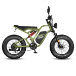 FAFREES F20 Ultra Elektrinis Dviratis 750W Variklis, 48V 25Ah Baterija, 20*5.0 Colių Stori Padangos, Mechaniniai Stabdžiai, 80-100KM Nuotolis, Dviguba Pakaba E-Dviratis Mechanical Brakes žalia