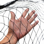 25 X 50 Pėdų Nailoninis Pauk&scaron;čių Tinklas Genių Tinklas 7.5m x 15m Vi&scaron;tidės Tinklas Vaisių Medžių Tinklas Pauk&scaron;čiams, Elniams, Voverėms United States