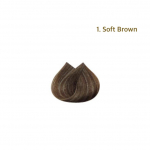 Richenna Easy Speedy Gold plaukų spalva [&scaron;ampūno tipo dažai] 3ea (tubelė) - 2 spalvos