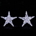 WWJ Shiny Big Star Stud Auskarai vakarėliui papuo&scaron;alai mergaitėms balta