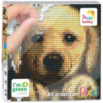 Kūrybinis rinkinys - PIXEL - Paveikslas 12 x 12 cm - &Scaron;uo - 3D - Mi&scaron;rus - Nuo 5 metų