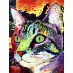Deimantinis pie&scaron;imas katėms Kalnų kri&scaron;tolų nuotraukos Deimantinis siuvinėjimas Gyvūnų rinkinys Deimantinė mozaika Rankų darbo 20X30CM