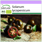 SAFLAX &ndash; Ekologi&scaron;ki &ndash; Pomidorai &ndash; Juodoji vy&scaron;nia &ndash; 10 sėklų &ndash; Solanum lycopersicum