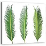 Spaudinys ant drobės Palm Leaf Nature